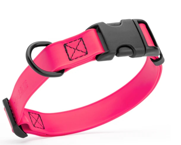 Durable Biothane Waterproof Dog Collars for Swimming and Hiking | Fidos Lair