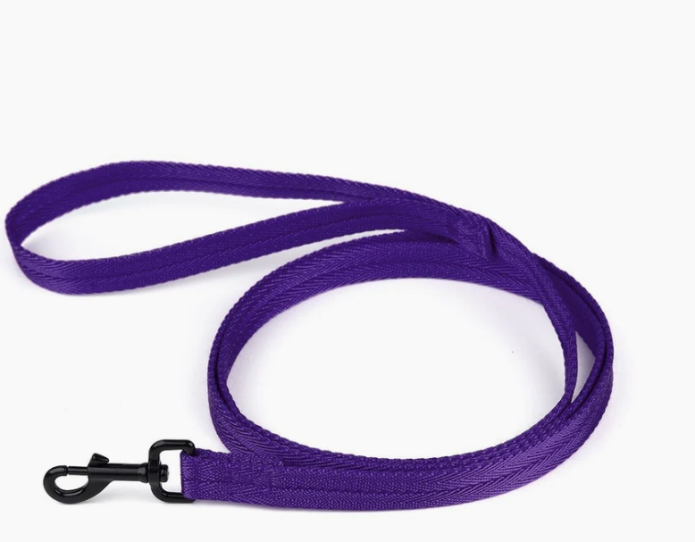 Durable Flat Nylon Dog Leashes for Everyday Walking | Fidos Lair