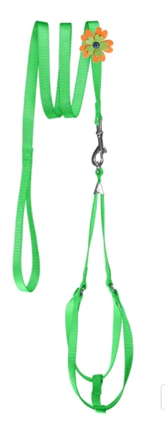 Easy Step-in Dog Harness and Matching Floral Pattern Leash Set | Fidos Lair