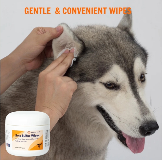 Gentle Deodorizing Wipes for Dog Face, Ears, and Sensitive Areas | Fidos Lair