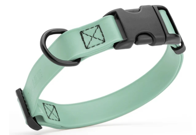 dogline-biothane-waterproof-dog-collar-with-quick-release-buckle-sage-green-made-in-the-usa.jpeg