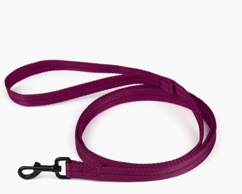 dogline-nylon-flat-leash-five-eighths-inch-by-4-feet-and-6-feet-berry-made-in-the-usa.jpeg