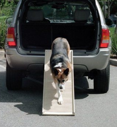 essential-pet-products-travel-folding-dog-ramp-500-pound-capacity-made-in-the-usa.jpeg
