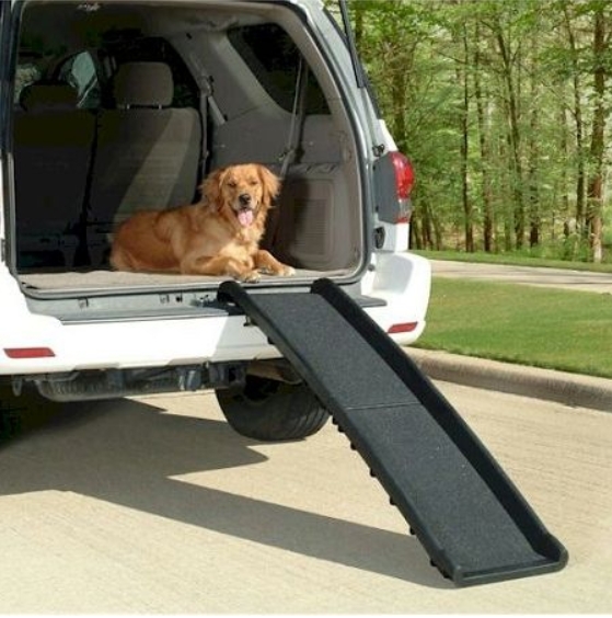 Durable Dog Ramps, Stairs, and Steps for Easy Access | Fidos Lair