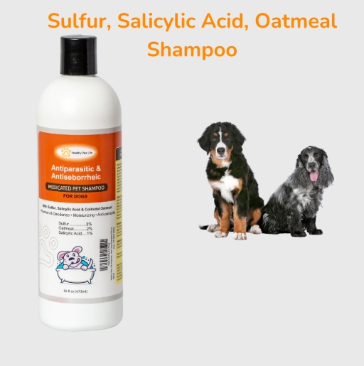 Essential Dog Shower and Bath Accessories for Grooming | Fidos Lair