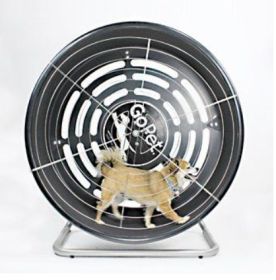 GoPet - Dog-Powered TreadWheel – Small Breed Indoor/Outdoor Exercise Solution (Up to 25 lbs)