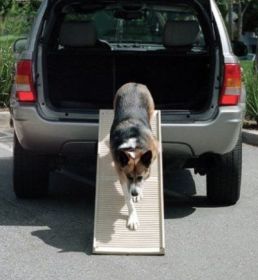PetStep - II Folding Dog Ramp – Heavy-Duty 500 lb Capacity for Large Vehicles, Stairs & Furniture