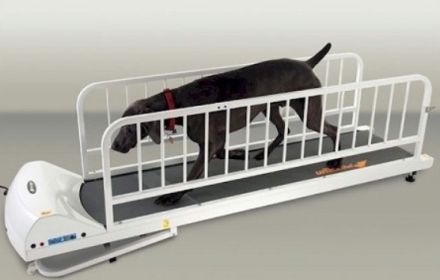 PetRun - PR725 Dog Treadmill for Large Breeds