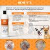 Healthy Paw Life - Skin & Coat Care Combo – 16 oz Lime Sulfur Dip and Medicated Dog Shampoo