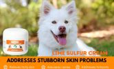 Fidos Lair | Healthy Paw Life - Lime Sulfur Pet Skin Cream – 2 oz Targeted Relief for Mange, Ringworm, & Itchy Skin