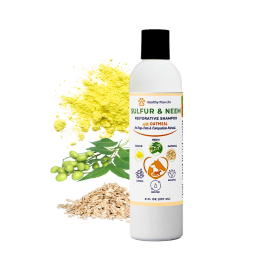 Fidos Lair | Healthy Paw Life Sulfur & Neem Restorative Shampoo with Oatmeal – 8 fl oz Holistic Coat & Skin Renewal