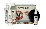 Warren London - Puppy Gift Box Bundle | Complete 6-Piece Pampering Set