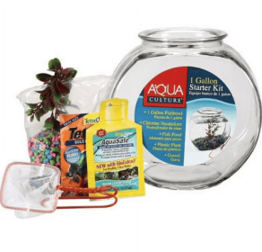 Aqua Culture Glass Fish Bowl with Starter Kit, 1 Gallon