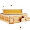 Bee Hive Medium Box Starter Kit, 100% Beeswax Coated Natural Cedar Wood, Langstroth Beehive Kit with 10 Frames and Foundations