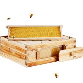 Bee Hive Medium Box Starter Kit, 100% Beeswax Coated Natural Cedar Wood, Langstroth Beehive Kit with 10 Frames and Foundations