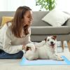22" x 22" 100 Pcs Premium Disposable Training Pads, Pee Pads, Training Pads, Disposable Puppy Pee Pads, Quick Absorb and Odor Control