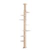 Cat Tree with a Platform on Top
