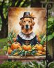 Golden Retriever Thanksgiving Garden Flag Mailbox Flag Decorative Yard Flag Banner Outside Patio Artwork Yard Flower Beds, Garden Size, Multicolor