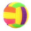 Pet Ball Toy For Dog; Bouncy Ball Toy With LED Light; Dog Chew Toys; Interactive Dog Toys