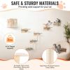 Wall Mounted Cat Shelves Tree with Jumping Boards Nest Furniture Set of 5