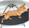 GoPet - Dog-Powered TreadWheel – Large Breed Indoor/Outdoor Exercise Solution (Up to 150 lbs) | Made in USA