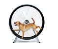GoPet - Dog-Powered TreadWheel – Large Breed Indoor/Outdoor Exercise Solution (Up to 150 lbs) | Made in USA