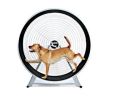 GoPet - Dog-Powered TreadWheel – Large Breed Indoor/Outdoor Exercise Solution (Up to 150 lbs) | Made in the USA