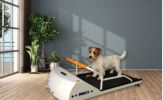 PetRun - PR700 Dog Treadmill for Small Dogs | Made in USA