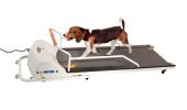 PetRun - PR720F Dog Treadmill for Medium to Large Dogs | Made in USA