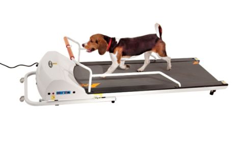 PetRun - PR720F Dog Treadmill for Medium to Large Dogs | Made in USA
