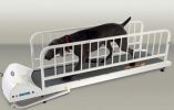 PetRun - PR725 Dog Treadmill for Large Breeds | Made in the USA