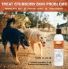 Healthy Paw Life - Lime Sulfur Pet Shampoo and Spray Bundle – 8 oz Each for Targeted Clinical Relief | Made in the USA