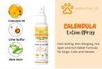 Healthy Paw Life - Calendula Lotion Spray – 4 fl oz Soothing Hot Spot & Itch Relief for Dogs | Made in USA