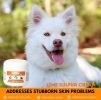 Healthy Paw Life - Lime Sulfur Pet Skin Cream – 4 oz Targeted Relief for Mange, Ringworm, & Itchy Skin | Made in the USA