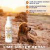 Healthy Paw Life - Lime Sulfur Cream & Spray Bundle – Targeted Holistic Relief for Mange, Ringworm & Hot Spots | Made in the USA