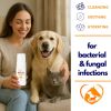 Healthy Paw Life - OMNISx Leave-On Mousse – Sulfur-Based Veterinary-Strength Relief for Itchy & Irritated Skin | Made in USA