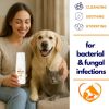 Healthy Paw Life - OMNISx Leave-On Mousse – Sulfur-Based Veterinary-Strength Relief for Itchy & Irritated Skin | Made in the USA