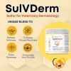 Healthy Paw Life - SulVDerm Advanced Sulfur Paste – 8 oz Clinical Strength Skin Support for Companion Animals | Made in the USA
