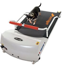 PetRun - PR700 Dog Treadmill for Small Dogs