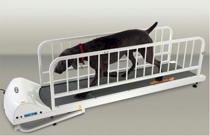 PetRun - PR725 Dog Treadmill for Large Breeds