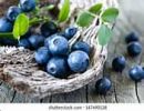 Roscoe & Stella’s - Grain-Free Blueberry Treats – Handcrafted Organic Training Snacks | Made in USA
