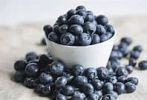 Roscoe & Stella’s - Grain-Free Blueberry Treats – Handcrafted Organic Training Snacks | Made in the USA