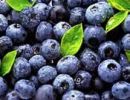 Roscoe & Stella’s - Grain-Free Blueberry Treats – Handcrafted Organic Training Snacks | Made in the USA