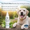 Warren London - Deep Cleaning Paw Spray for Dogs | Made in the USA