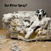 Warren London - Dog Bitter Spray Anti-Chew & Anti-Lick | Made in the USA