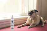 Warren London - Dog Bitter Spray Anti-Chew & Anti-Lick | Made in the USA