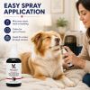 Warren London - Essential Oil Dog Calming Spray | Made in the USA