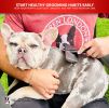 Warren London - Gentle Touch Slicker Brush for Puppies & Small Dogs | Made in the USA