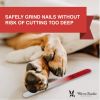 Warren London - Glass Nail File for Dogs | Durable Crystal Buffer | Made in the USA