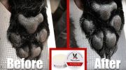 Warren London - Paw Defense Wax | Made in the USA